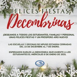 Fiestas Decembrinas